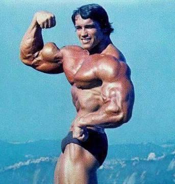 Arnold