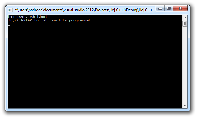 Textfnstret med programkrningen