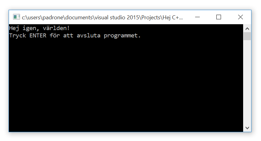 Textfnstret med programkrningen