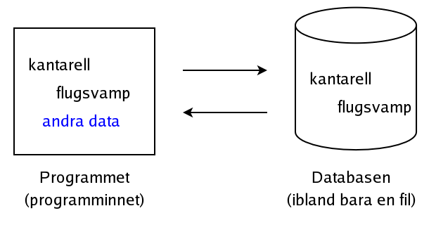 ADO.NET som sparar data