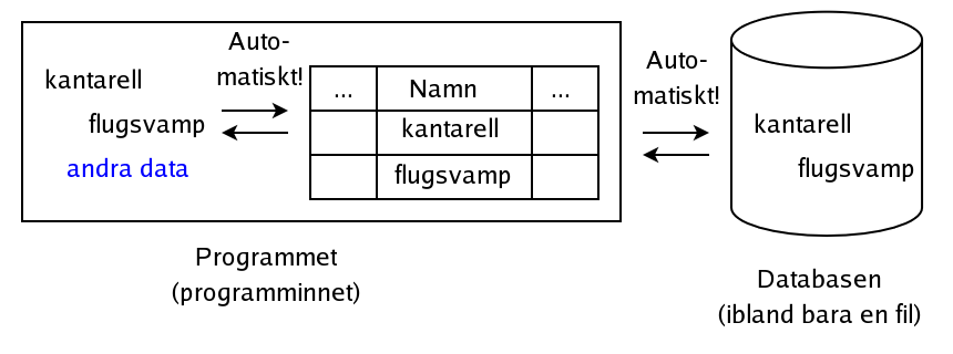Ej uppkopplad lsning i ADO.NET