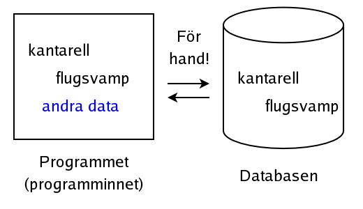 Uppkopplad lsning i ADO.NET