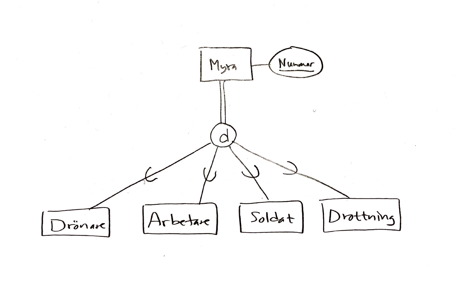 Enkelt EER-diagram