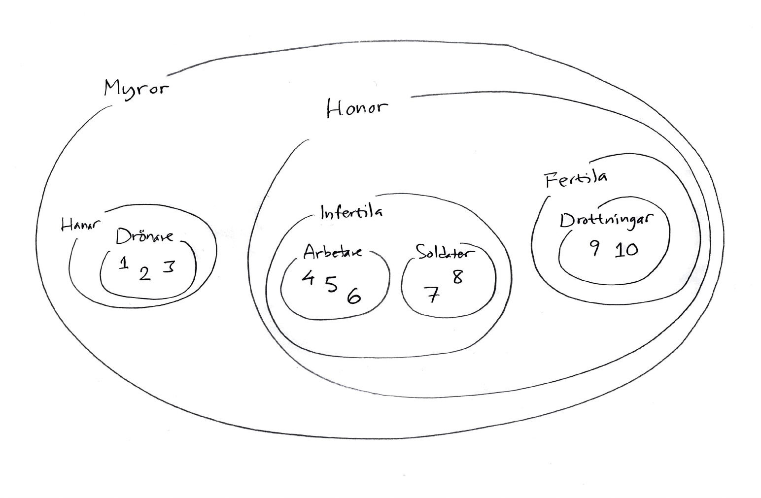 Mngddiagram