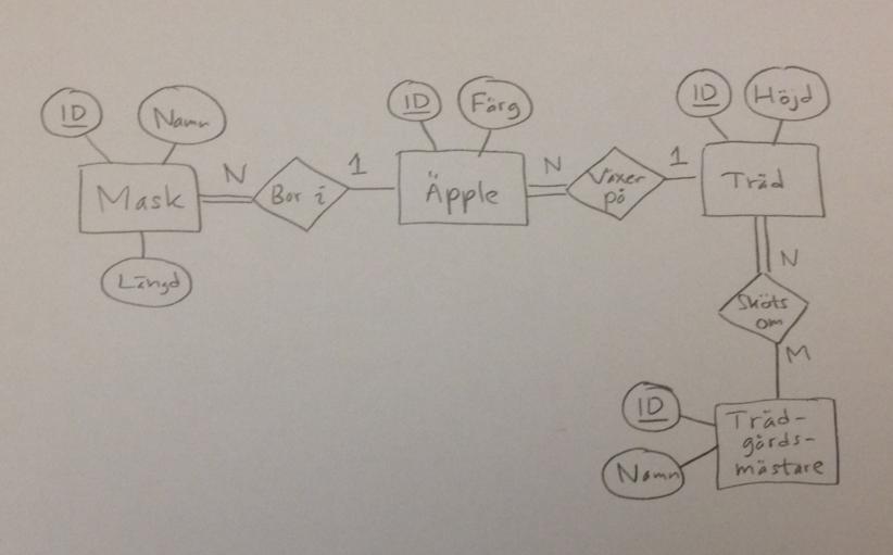 ER-diagram med trdgrdsmstare