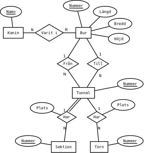 ER-diagram