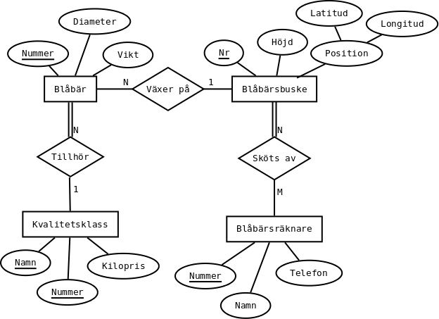 Ett ER-diagram