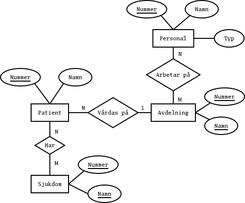 Ett ER-diagram fr sjukhuset