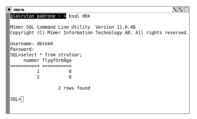 The Mimer Batch SQL windows