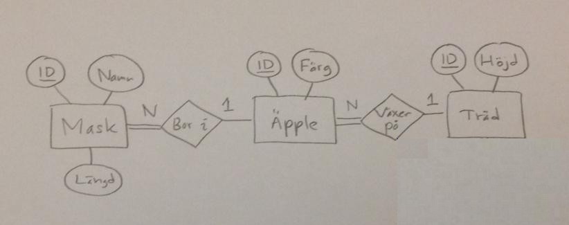 ER-diagram fr maskdatabasen