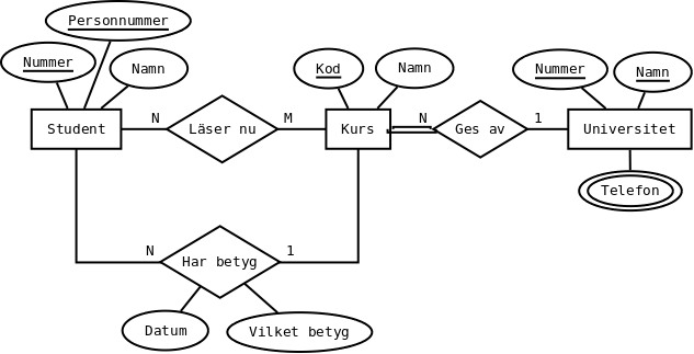 Ett ER-diagram