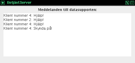 En bild p servern