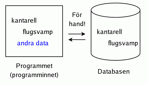 Uppkopplad lsning i ADO.NET
