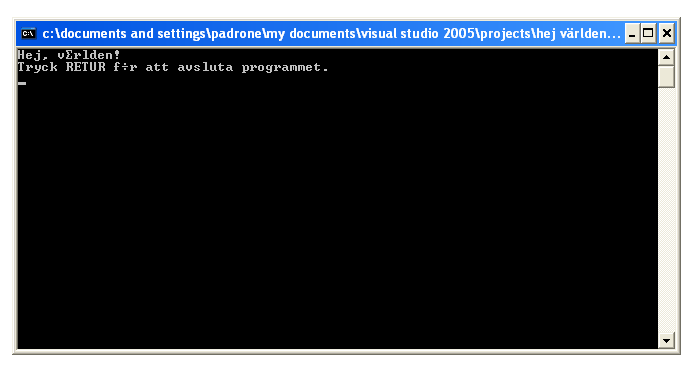 Textfnstret med programkrningen
