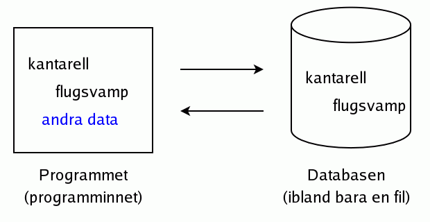 ADO.NET som sparar data