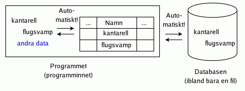 Ej uppkopplad lsning i ADO.NET